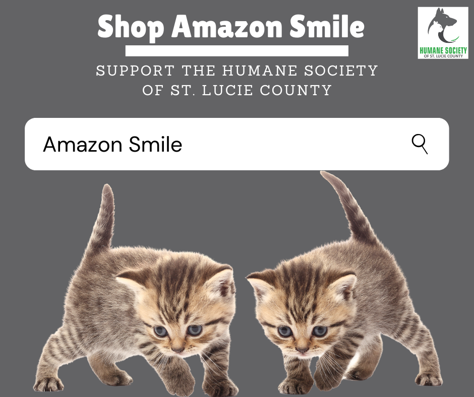 Donate to our nonprofit through AmazonSmile