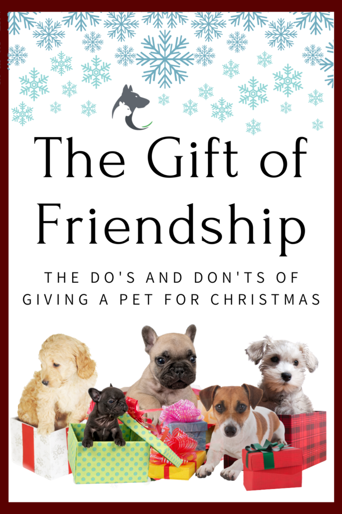 Giving a Puppy as a Gift: the Right Way to Do Christmas Puppies