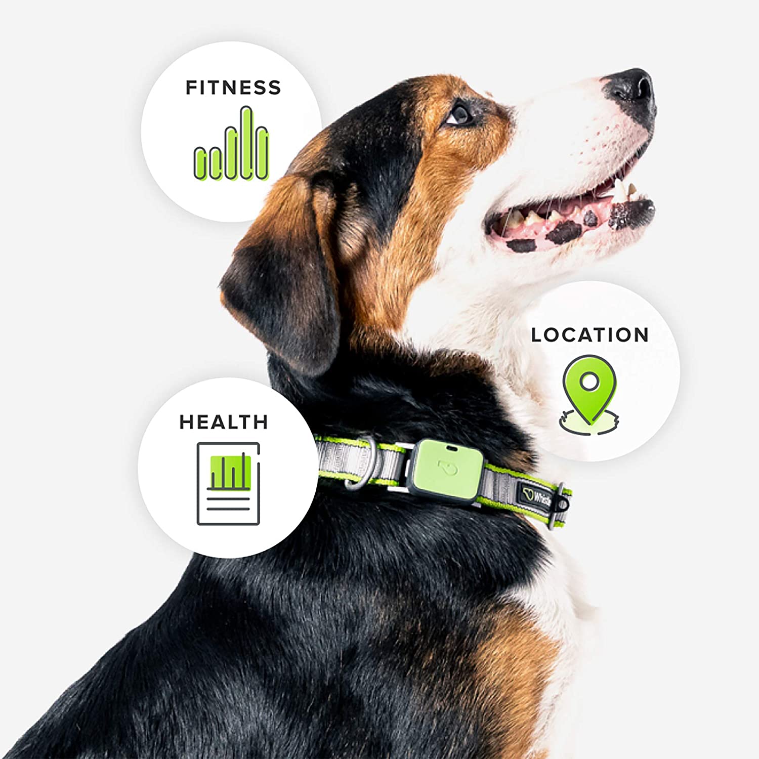 Bluetooth Collar For Your Lost Pet
