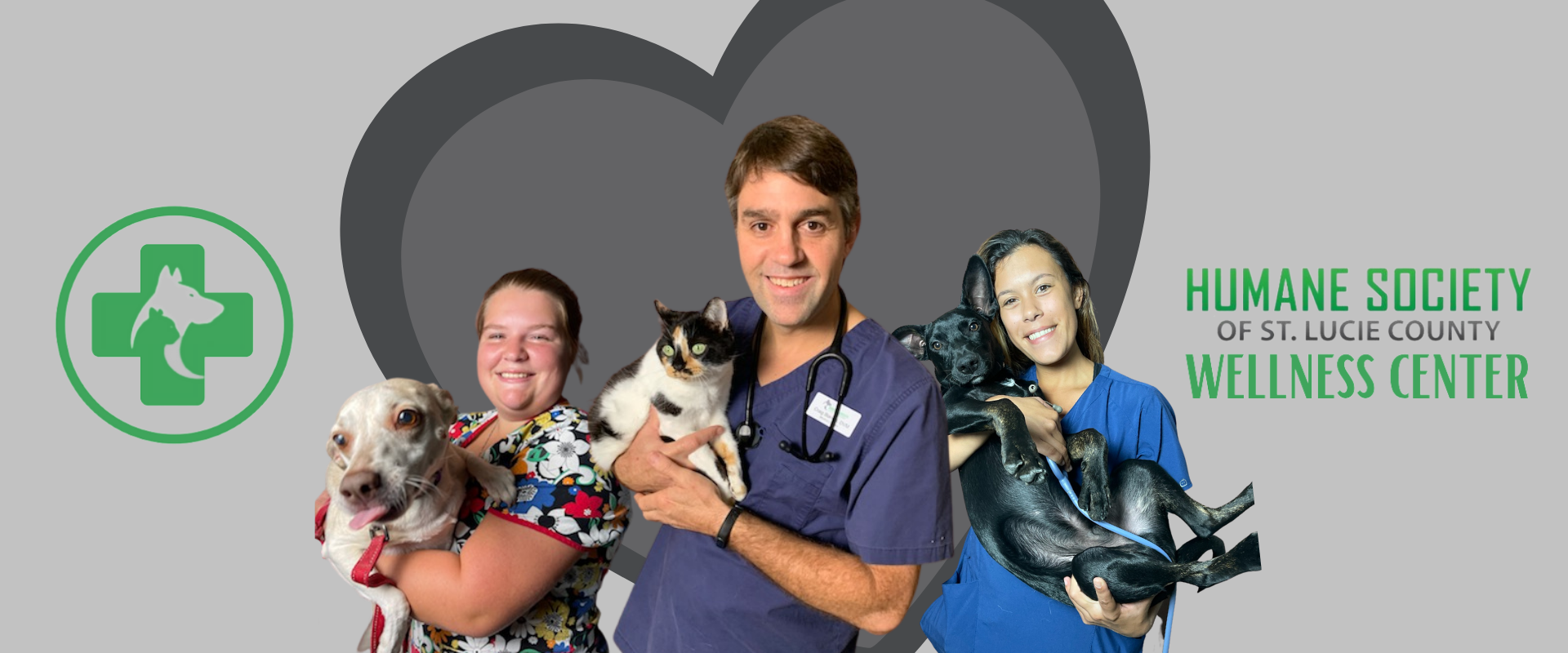 Dr. Stanton, veterinarian at the Humane Society of St. Lucie County wellness center