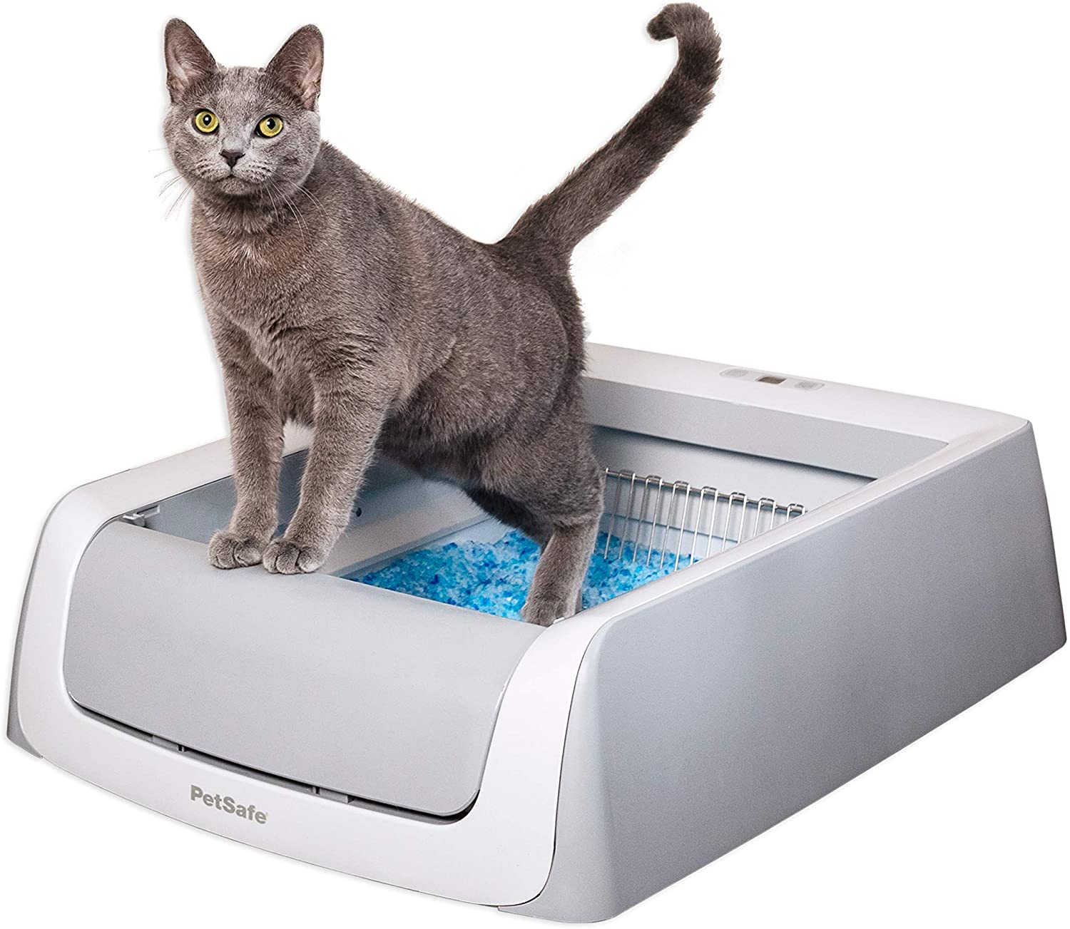 Smart Litter Box Tech Gadget