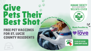Free Pet Vaccines Through the Humane Society of St. Lucie County
