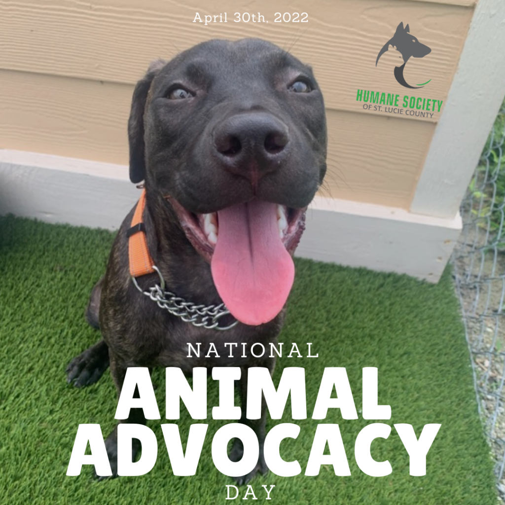 National Animal Advocacy Day, April 30