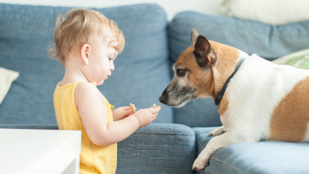 Safely Introduce Your Rescue Dog to Your Newborn Baby