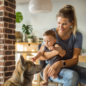 Introducing new store baby to dog