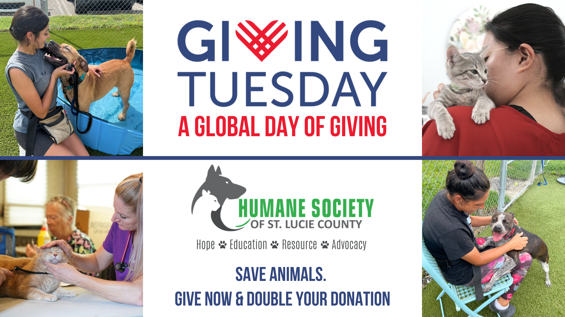 Giving Tuesday to Help Animals