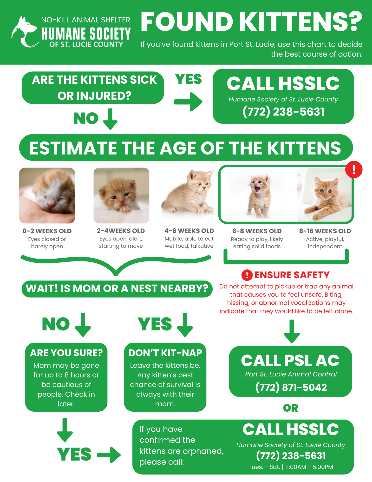 What to Do If You Find Kittens