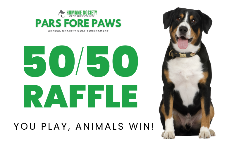 5050 Raffle Banner - RallyUp [960x640px] (2)